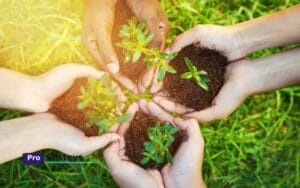 Kotitekoiset siivousaineet – vinkkejä ekologisiin resepteihin ja käyttöön kotiin.