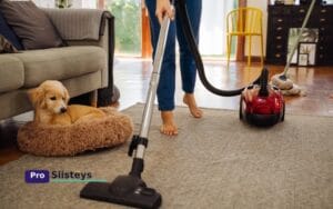 Koiratalouden imurin huolto opas suodattimen ja harjarullan puhdistusvinkeillä