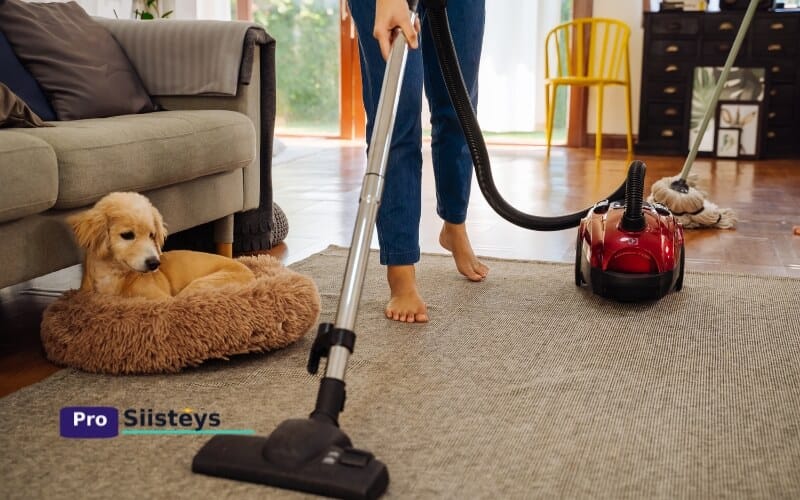 Koiratalouden imurin huolto opas suodattimen ja harjarullan puhdistusvinkeillä